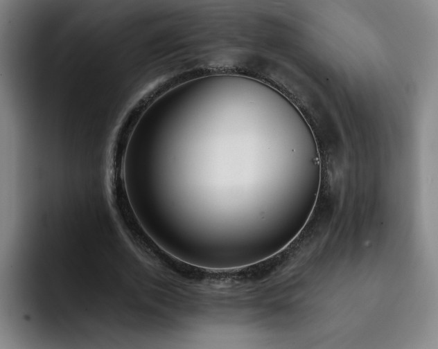 X0000092320728200709211329