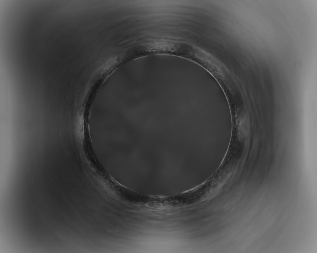 X0000092320729200709211329