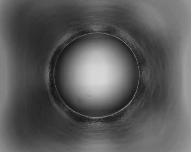 X0000092320730200709211329