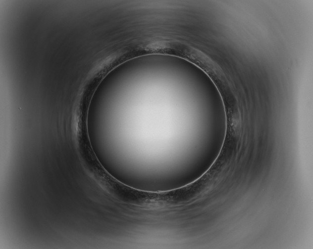 X0000092320732200709211329