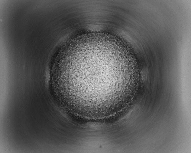 X0000092320733200709211329
