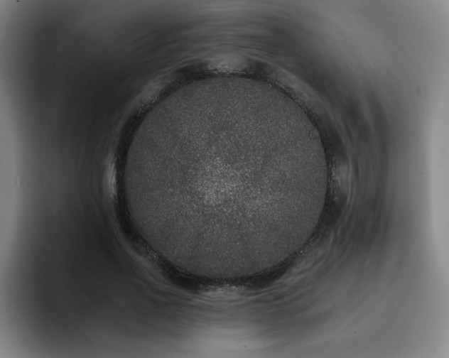 X0000092320734200709211329