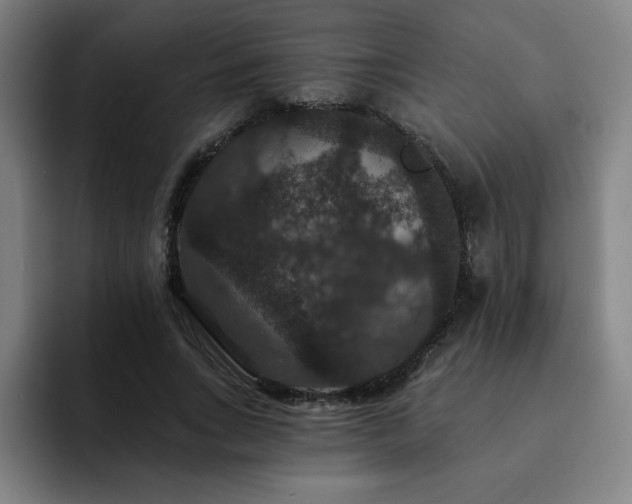 X0000092320735200709211329