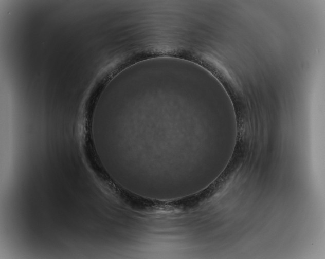 X0000092320736200709211329