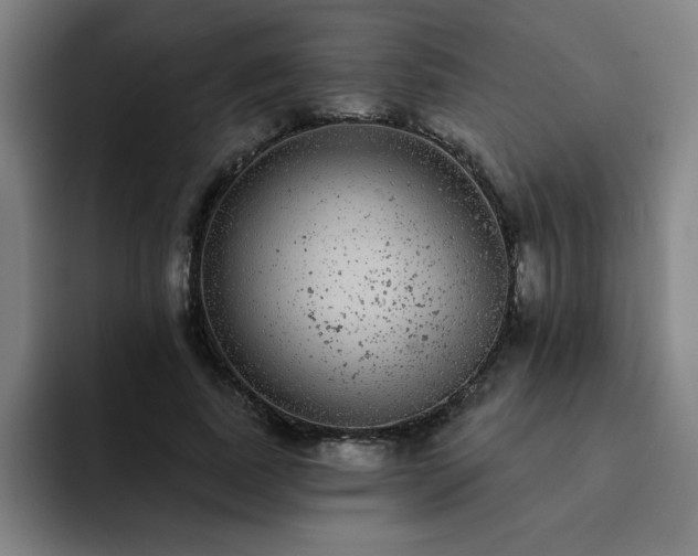 X0000092320739200709211329