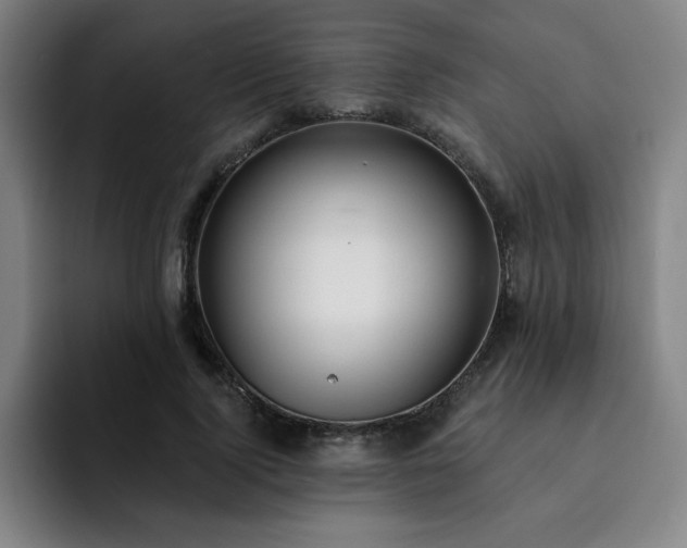 X0000092320740200709211329