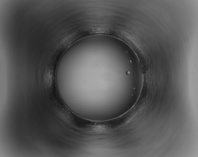 X0000092320741200709211329