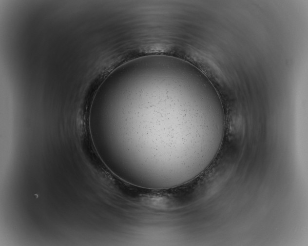 X0000092320743200709211329