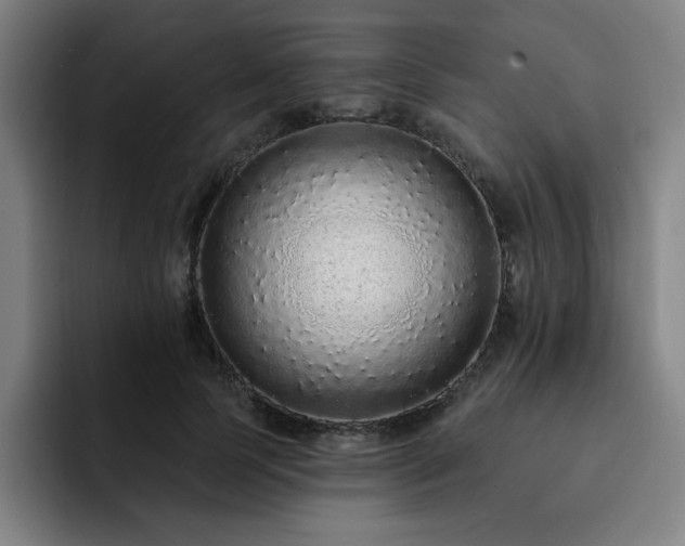 X0000092320745200709211329