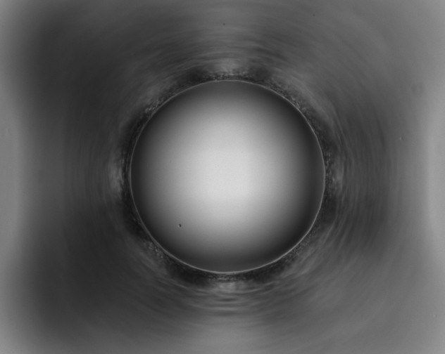 X0000092320746200709211329