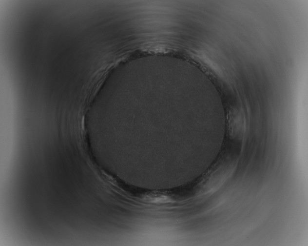 X0000092320747200709211329