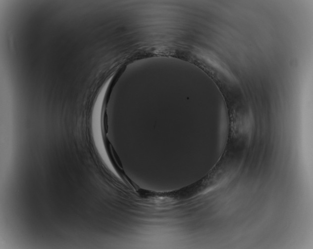 X0000092320748200709211329