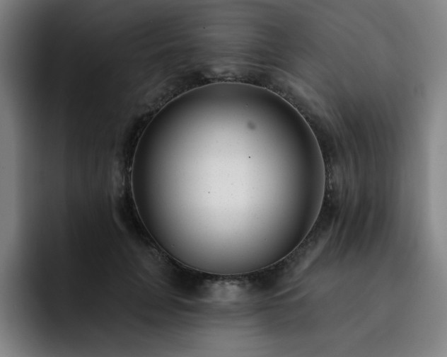 X0000092320751200709211329