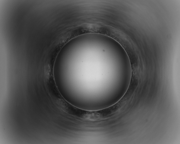 X0000092320752200709211329