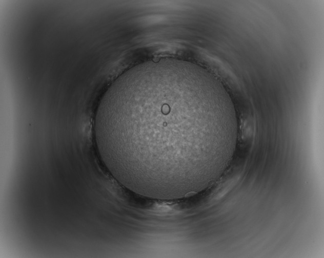X0000092320753200709211329