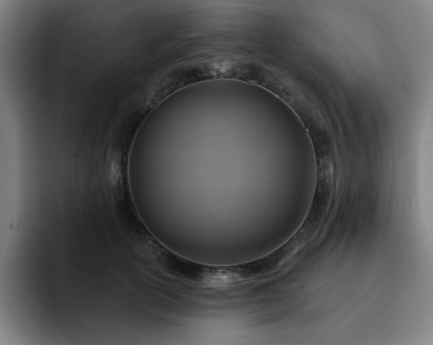 X0000092320754200709211329