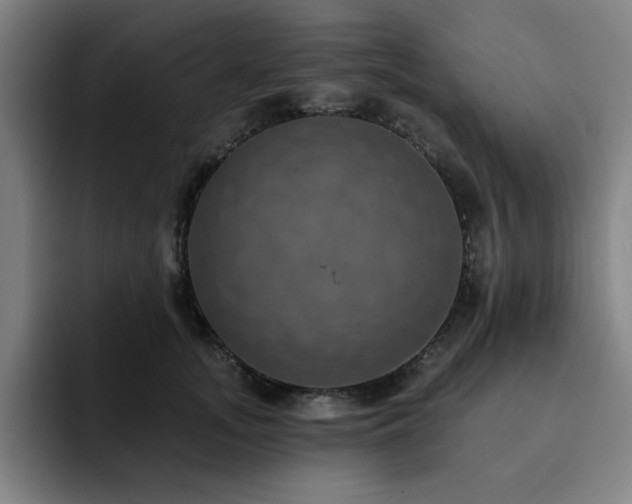 X0000092320755200709211329