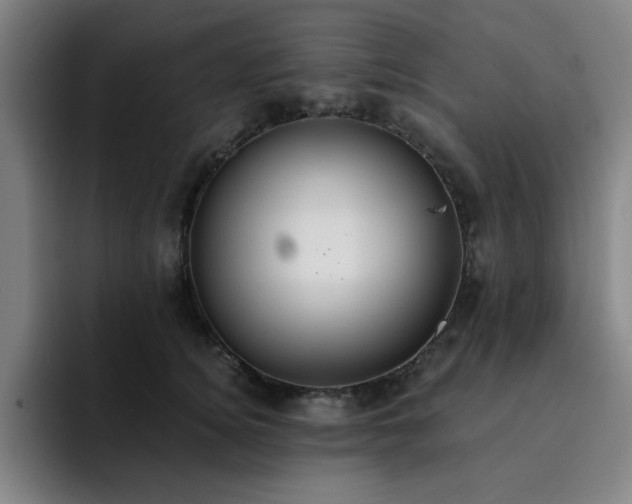 X0000092320756200709211329