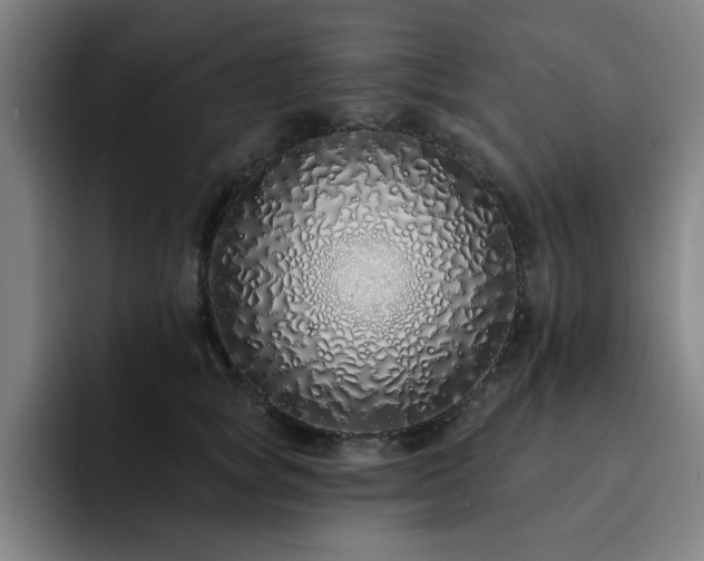 X0000092320757200709211329