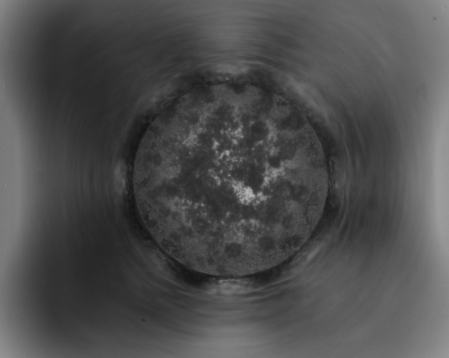 X0000092320758200709211329