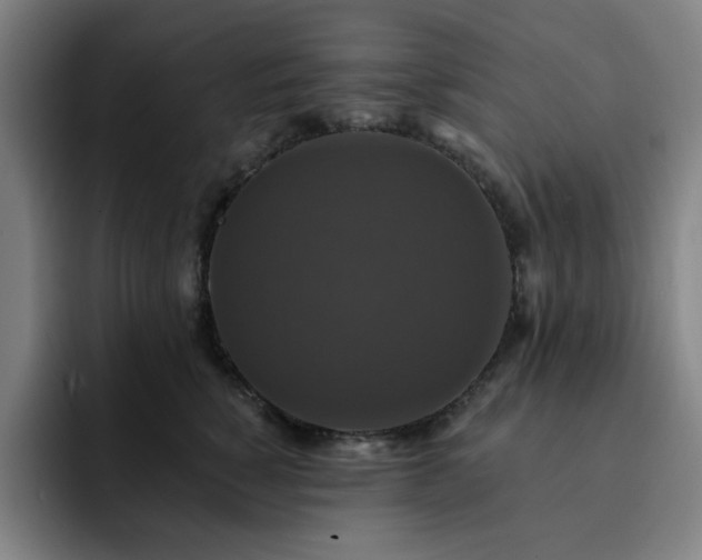 X0000092320760200709211329