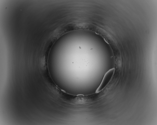 X0000092320764200709211329