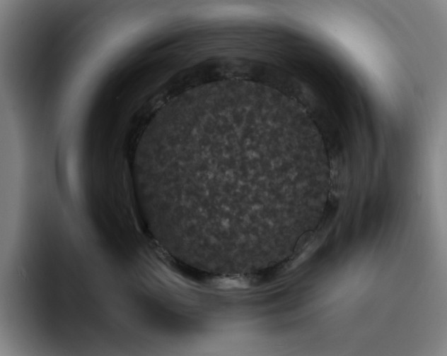 X0000092320765200709211329