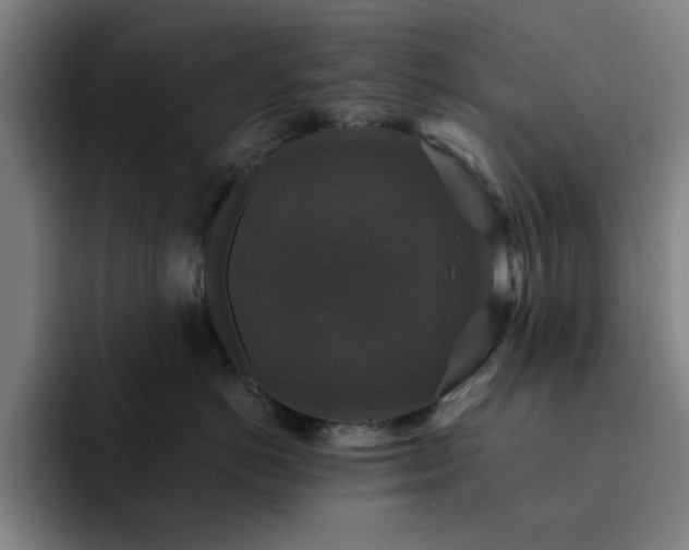 X0000092320766200709211329