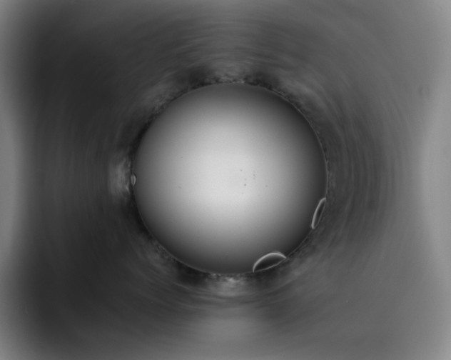 X0000092320768200709211329