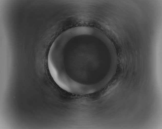 X0000092320769200709211329