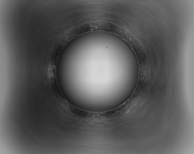 X0000092320770200709211329