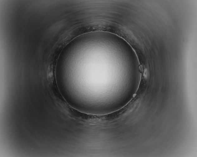 X0000092320771200709211329