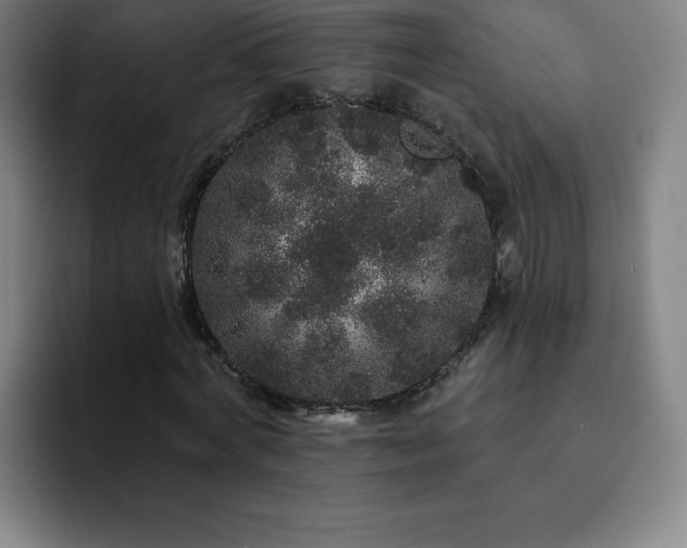X0000092320772200709211329