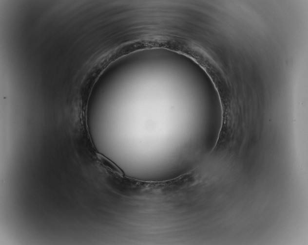 X0000092320773200709211329