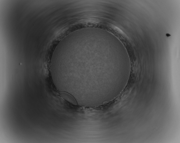 X0000092320774200709211329