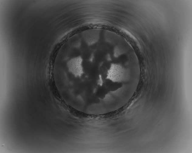 X0000092320775200709211329