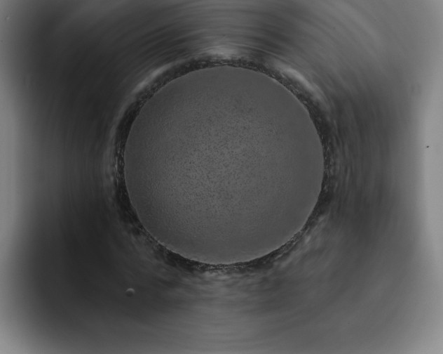 X0000092320776200709211329
