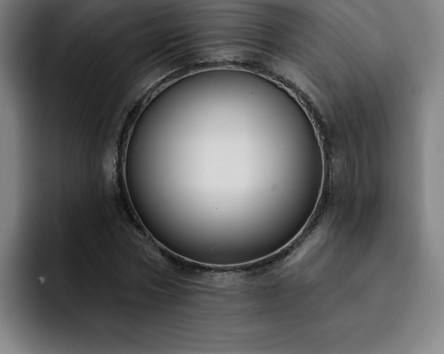 X0000092320778200709211329