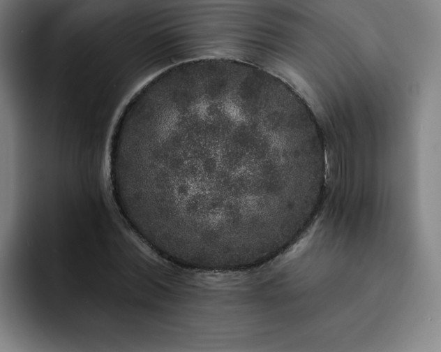 X0000092320780200709211329