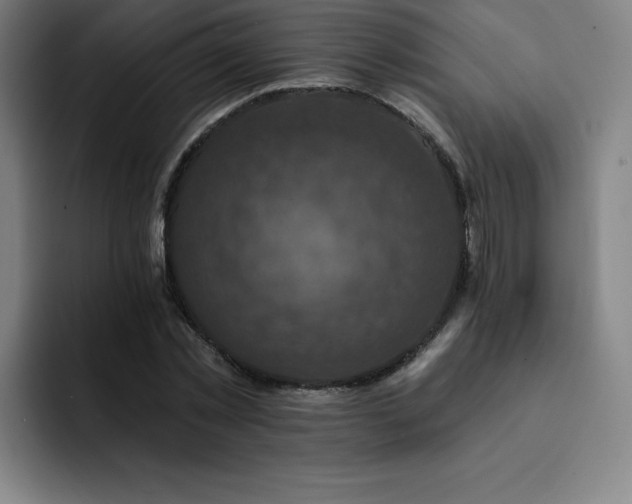 X0000092320781200709211329
