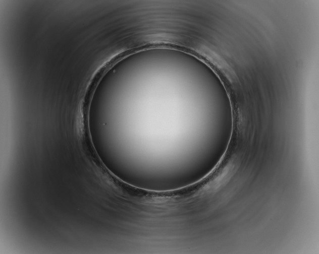 X0000092320782200709211329