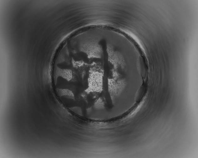 X0000092320783200709211329