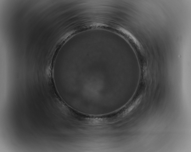 X0000092320785200709211328