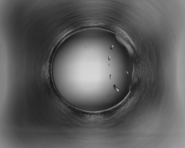 X0000092320786200709211328