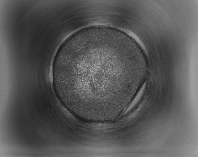 X0000092320791200709211328