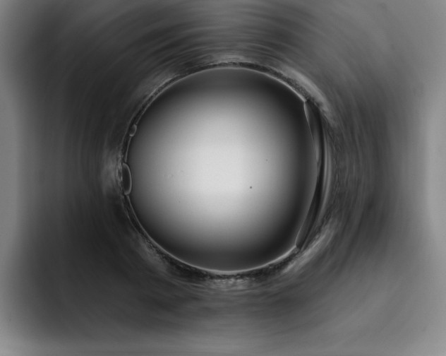 X0000092320793200709211328