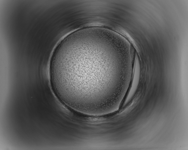 X0000092320795200709211328