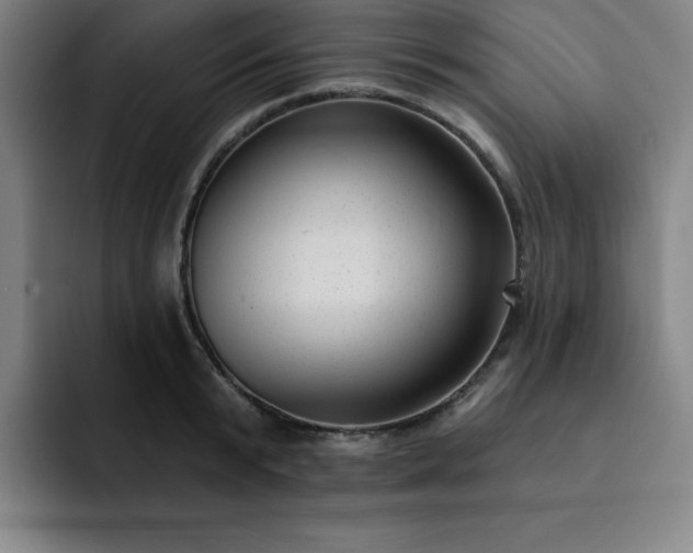 X0000092320799200709211328