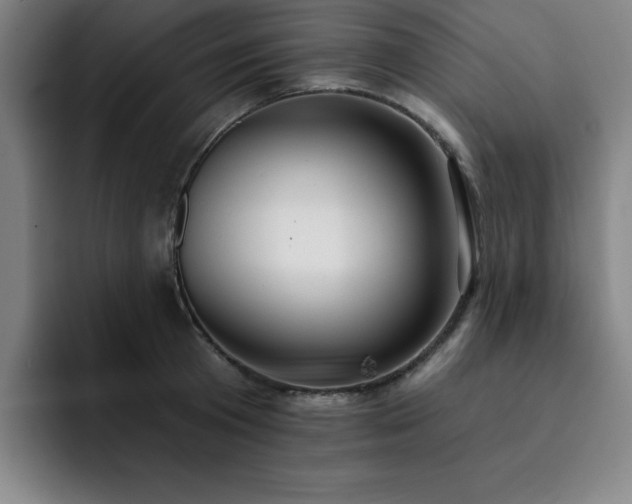 X0000092320801200709211328
