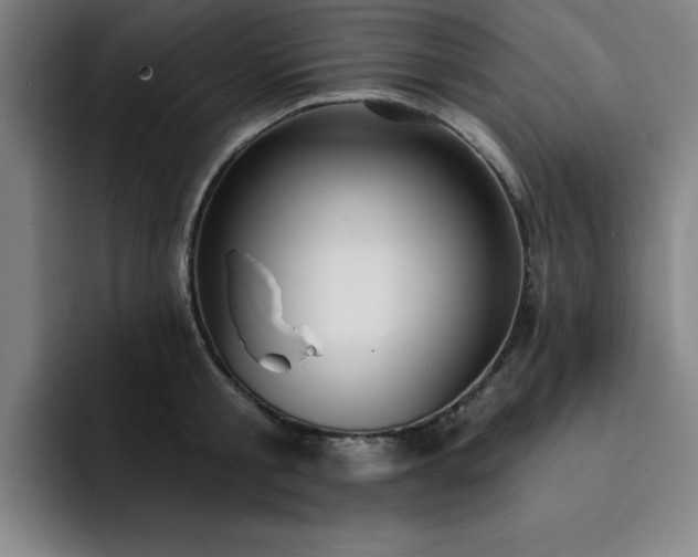 X0000092320805200709211328
